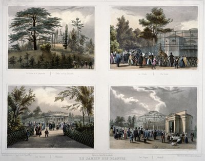 The Jardin des Plantes in Paris: Cedar and the Labyrinth, The Giraffe, Pheasants, Monkeys by Jean Jacottet